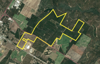 Alligator Industrial Park Property Boundary