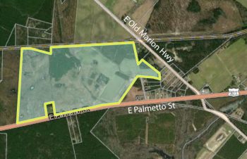 Florence County Industrial Park - East Property Boundary